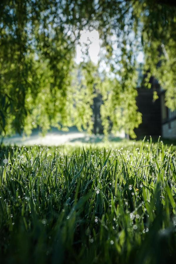 L'Herbe Haute Honfleur Buitenkant foto